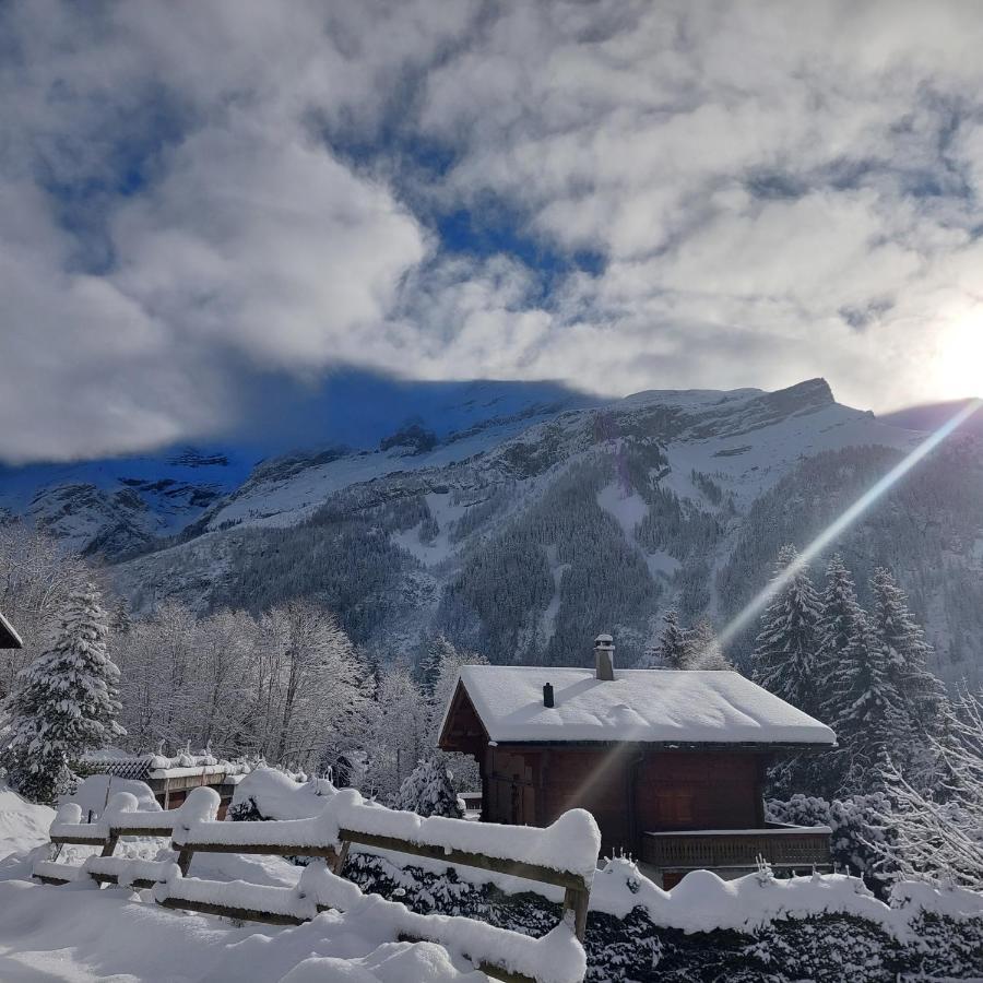 Chambre D'Hotes L'Ours Bleu Les Diablerets Buitenkant foto