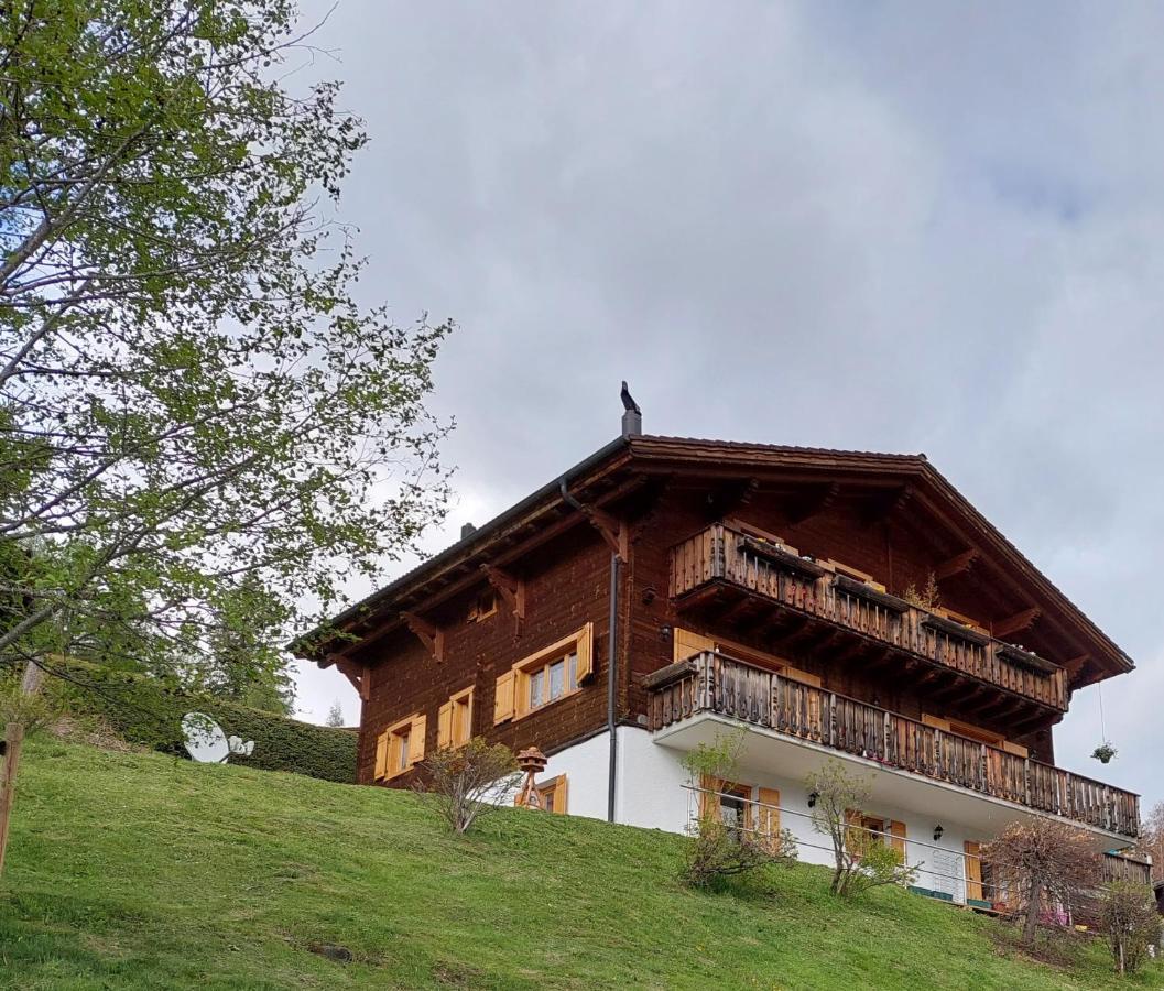 Chambre D'Hotes L'Ours Bleu Les Diablerets Buitenkant foto
